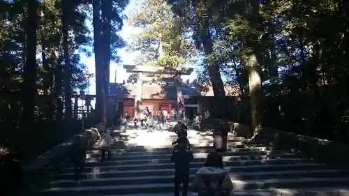 伊勢神宮内宮（皇大神宮）の鳥居