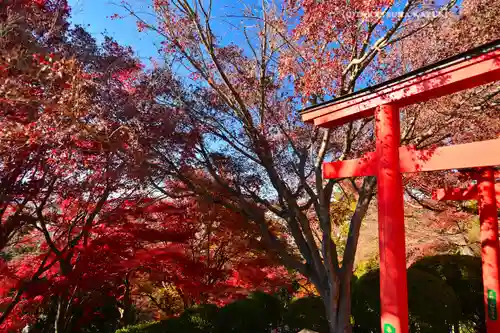 足利織姫神社(栃木県)