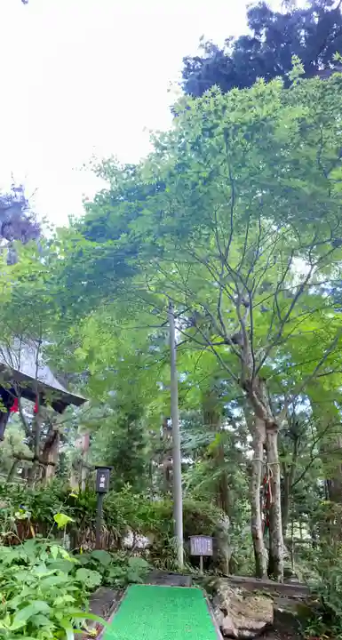 河口浅間神社(山梨県)
