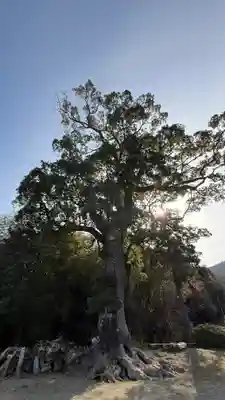 八大龍王社(徳島県)