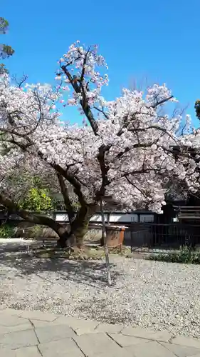 上野東照宮(東京都)