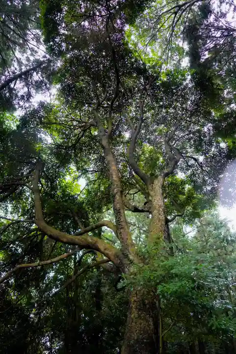 恒石八幡宮の自然