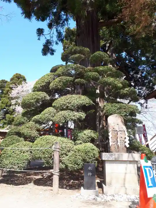 愛宕神社の自然