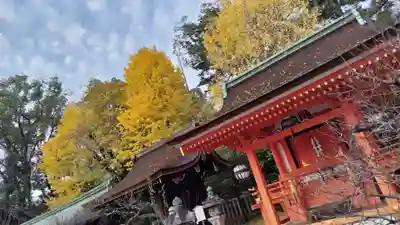 北野天満宮(京都府)