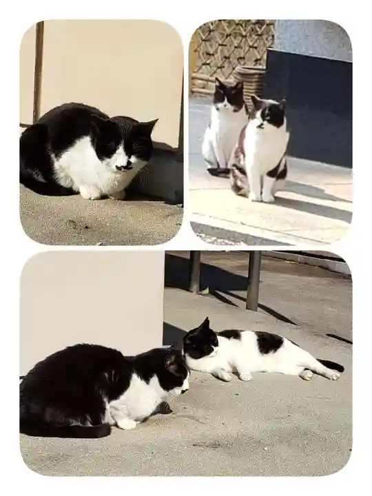 白金氷川神社(東京都)