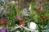 國魂神社の手水舎