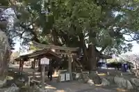 藤白神社(和歌山県)