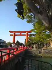 平安神宮の鳥居