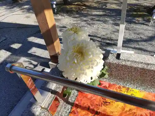 浅間神社(栃木県)