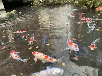 子安神社(東京都)