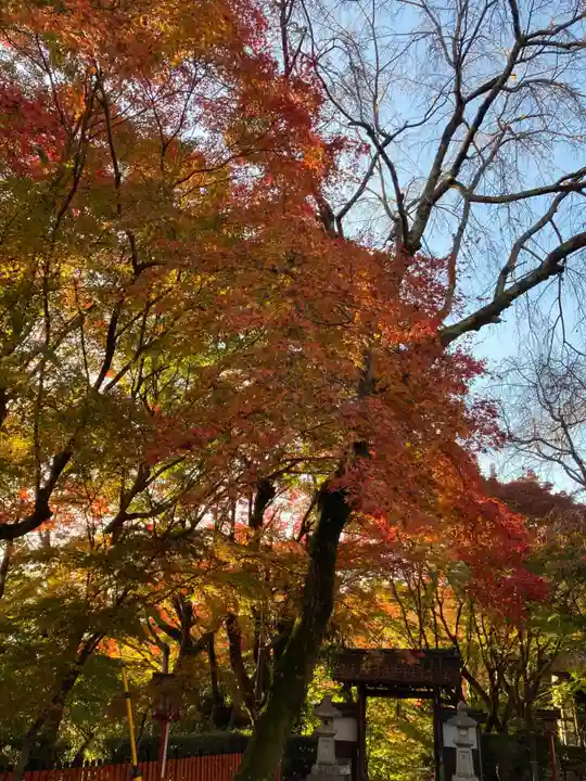 松ヶ崎大黒天 妙圓寺(妙円寺)(京都府)