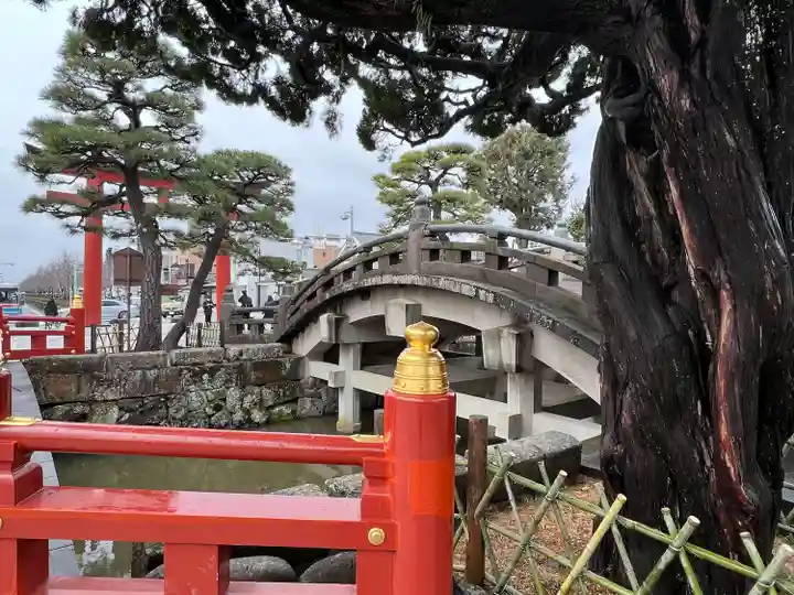 鶴岡八幡宮(神奈川県)