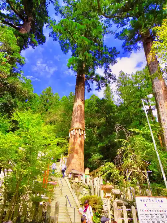 由岐神社の自然