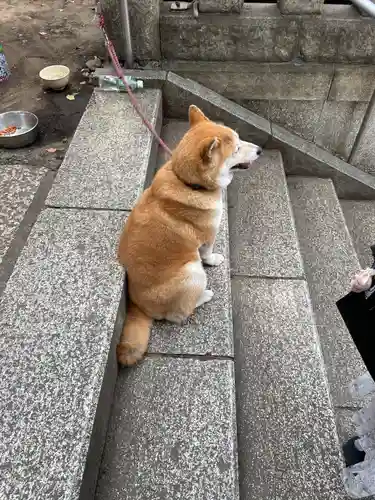 笠䅣稲荷神社(神奈川県)