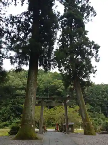 七社神明神社の自然