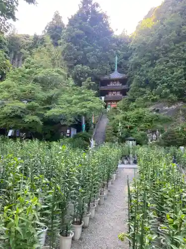 松尾寺(奈良県)