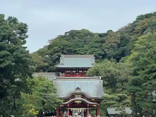 鶴岡八幡宮の景色