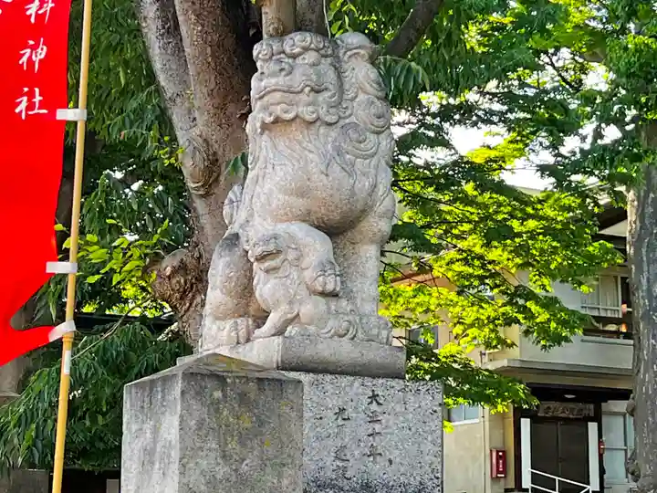 妻科神社の鳥居