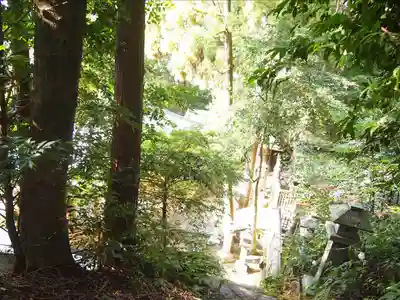 杉尾神社(和歌山県)