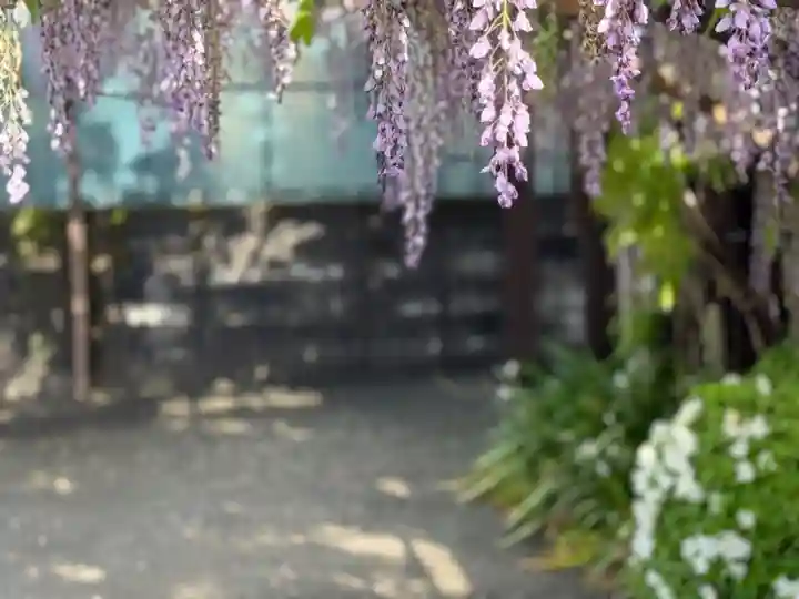 西方山極楽寺(岐阜県)