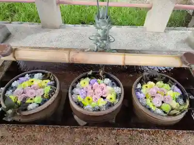 津島神社の手水舎