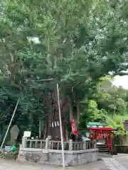 海南神社の自然