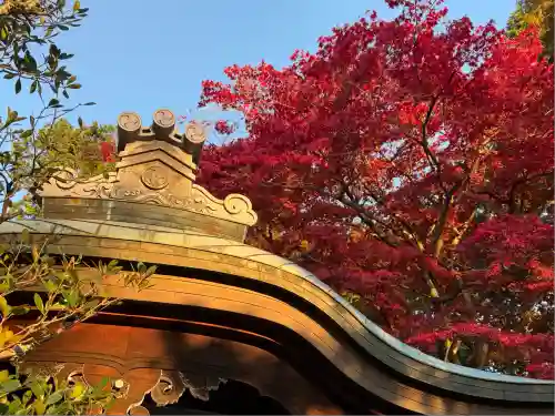 榮攝院（栄摂院）(京都府)