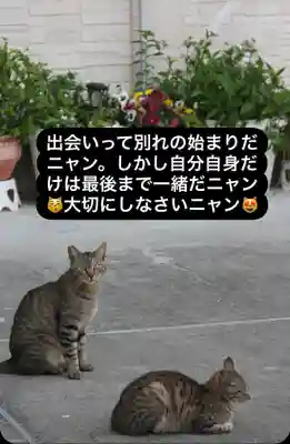 専念寺(大阪府)