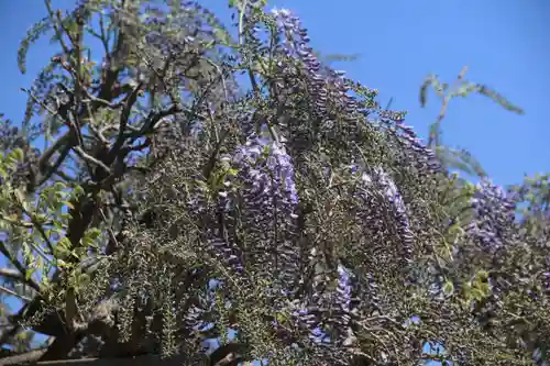 庄野菅原神社の庭園