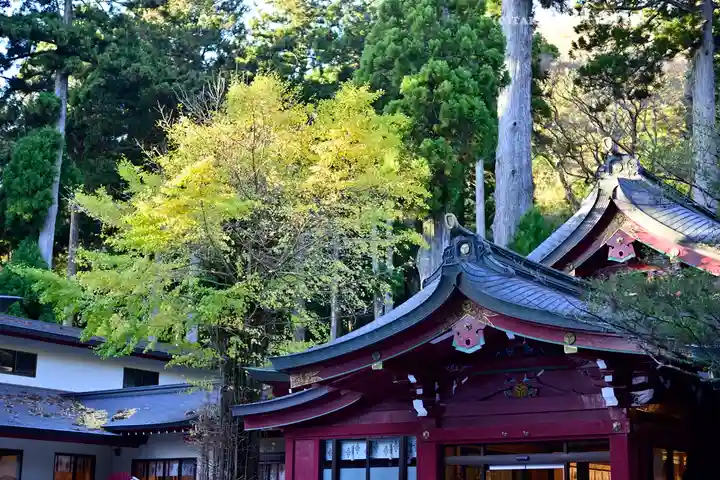 箱根神社(神奈川県)