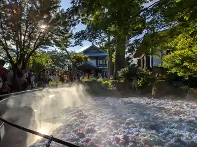 楽法寺(雨引観音)のお祭り