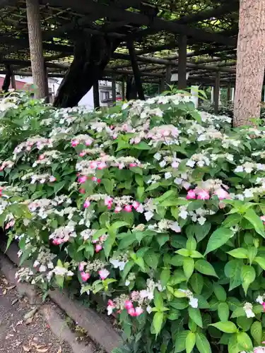 日吉神社の庭園