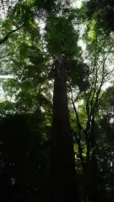 星田妙見宮(大阪府)