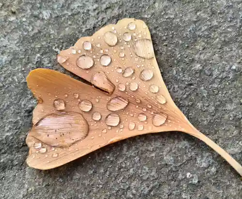 阿邪訶根神社(福島県)