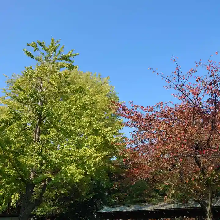 豊山八幡神社の自然