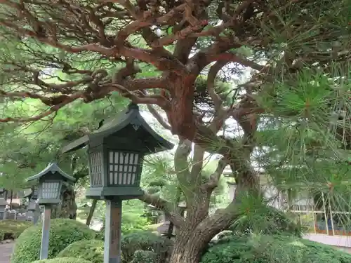 密藏院(埼玉県)