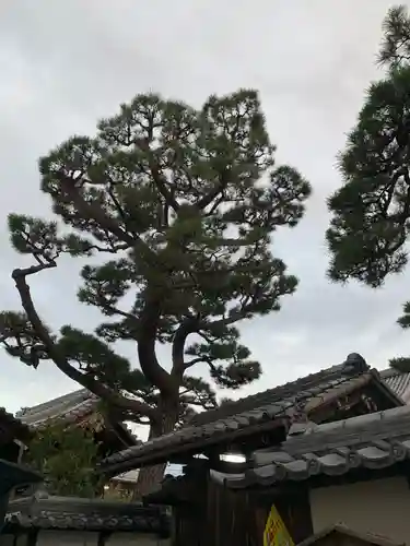 法安寺(大阪府)