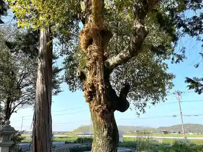左右神社(滋賀県)
