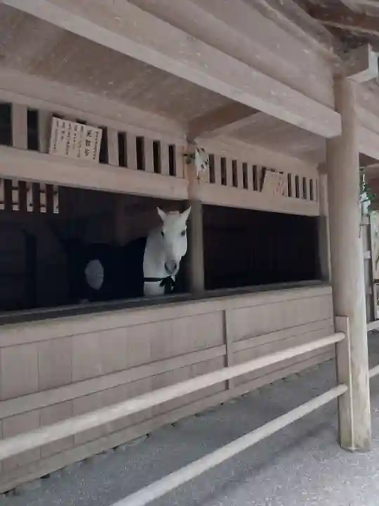 伊勢神宮外宮(豊受大神宮)(三重県)