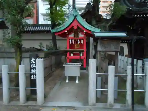 大阪天満宮(大阪府)