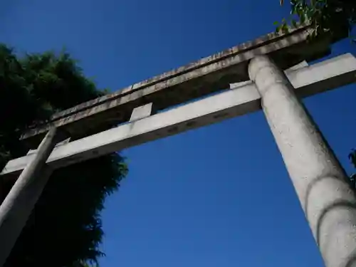 玉姫稲荷神社の鳥居