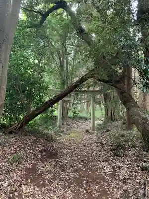 熊野神社(千葉県)