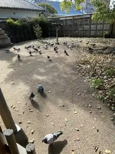 大聖観音寺（あびこ観音）(大阪府)