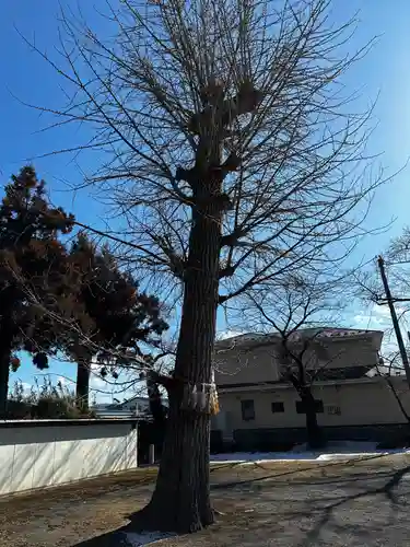 稲荷神社(宮城県)