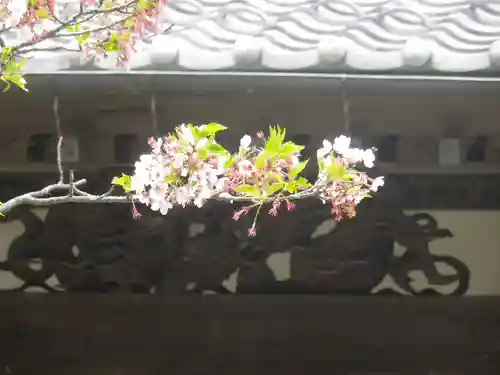 浄光明寺の自然