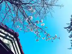 滑川神社 - 仕事と子どもの守り神の自然