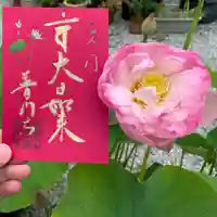 普門寺(切り絵御朱印発祥の寺)の御朱印