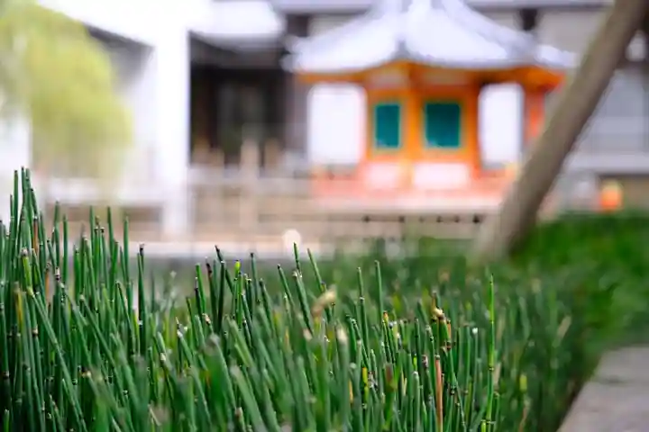 頂法寺(六角堂)のその他建物