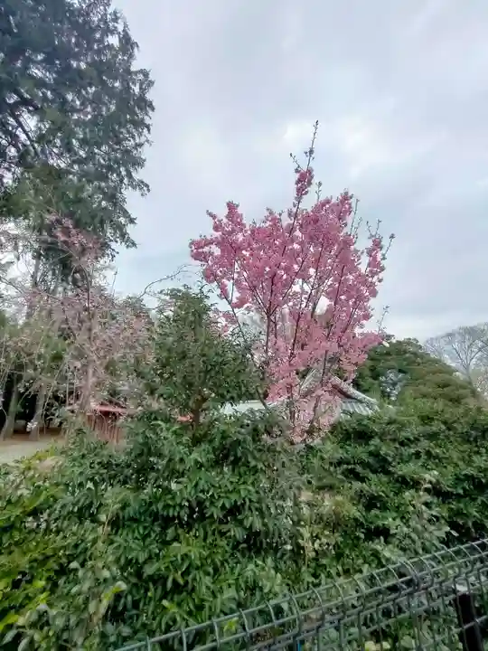 瀧宮神社(埼玉県)