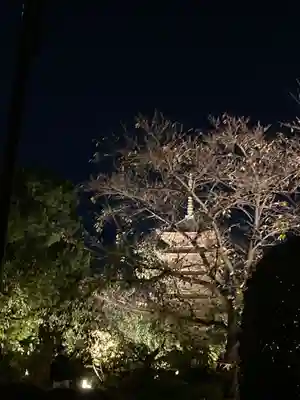 東寺（教王護国寺）(京都府)